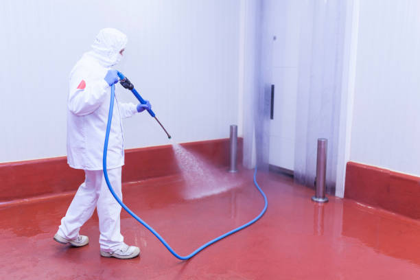 Best Patio and Deck Pressure Washing  in South Holland, IL